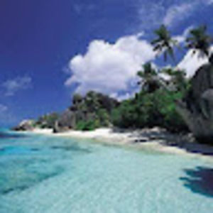 Meet your Posher, Roberto